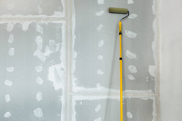 Best Black Mold Removal  in Scenic, AZ