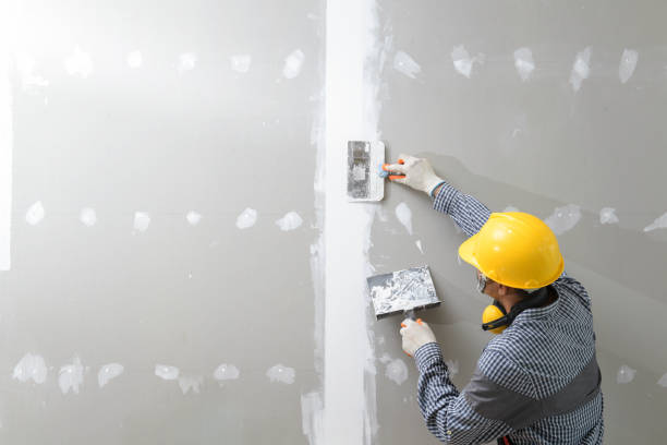 Best Commercial Mold Inspection  in Scenic, AZ