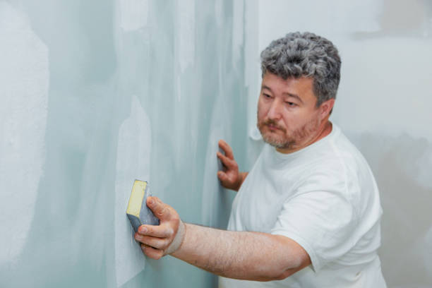Best Attic Mold Removal  in Scenic, AZ