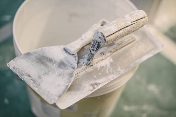 Best Mold Documentation for Insurance Claims  in Scenic, AZ